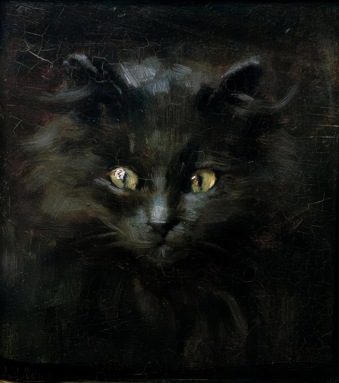 Bir kedi portresi by Julius Adam