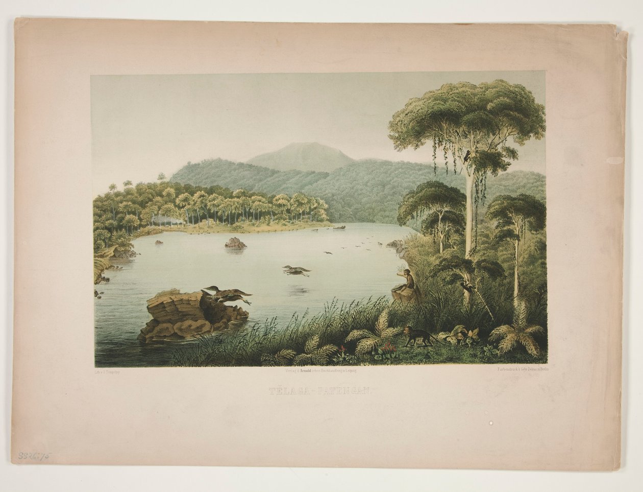 Göl - Patengan by Julius Friedrich Tempeltey