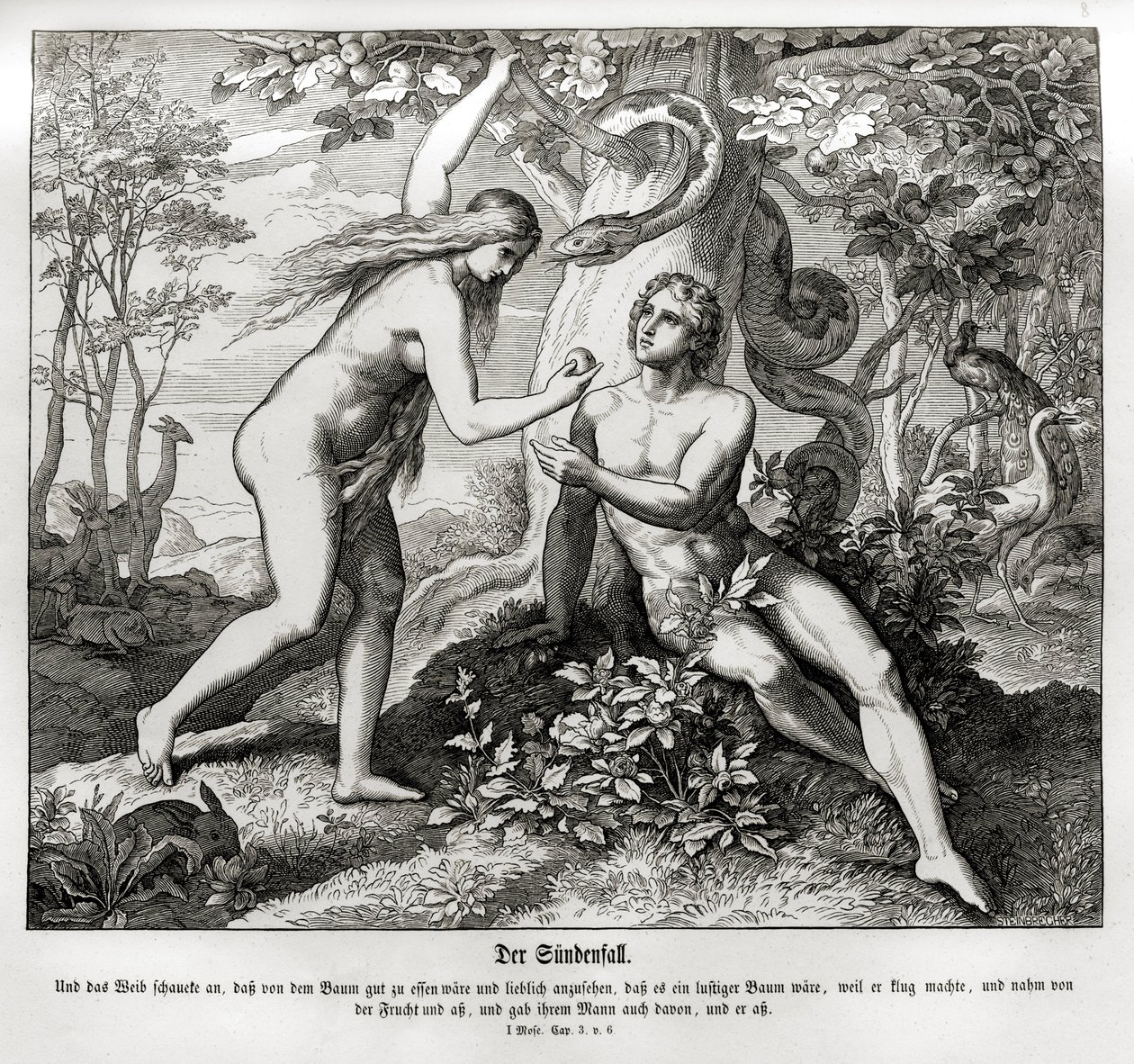 Düşüş, Genesis by Julius Schnorr von Carolsfeld