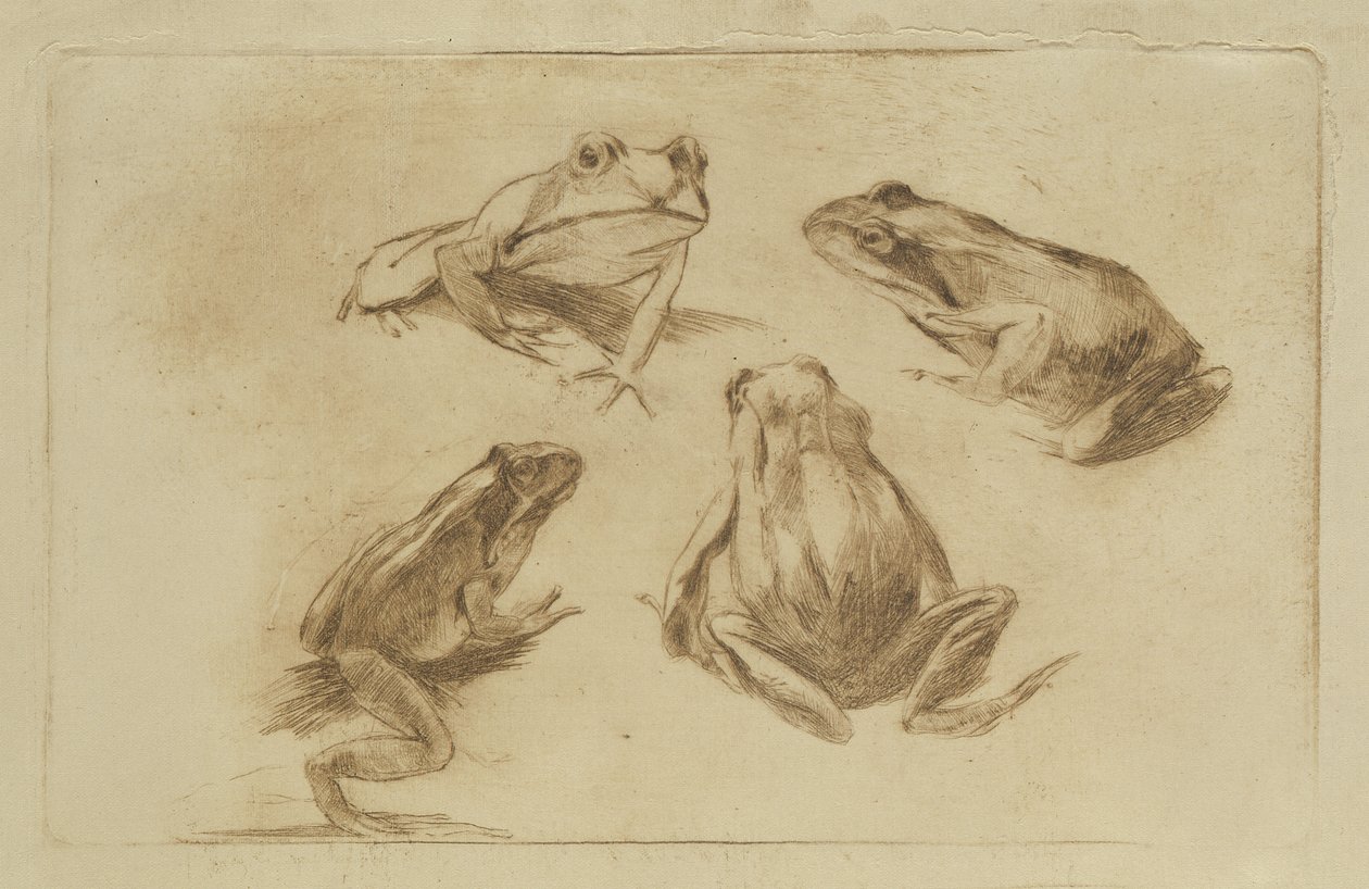  by Julius Wohlers