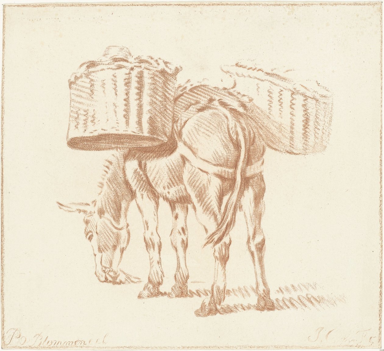 yüklü eşek by Jurriaan Cootwijck