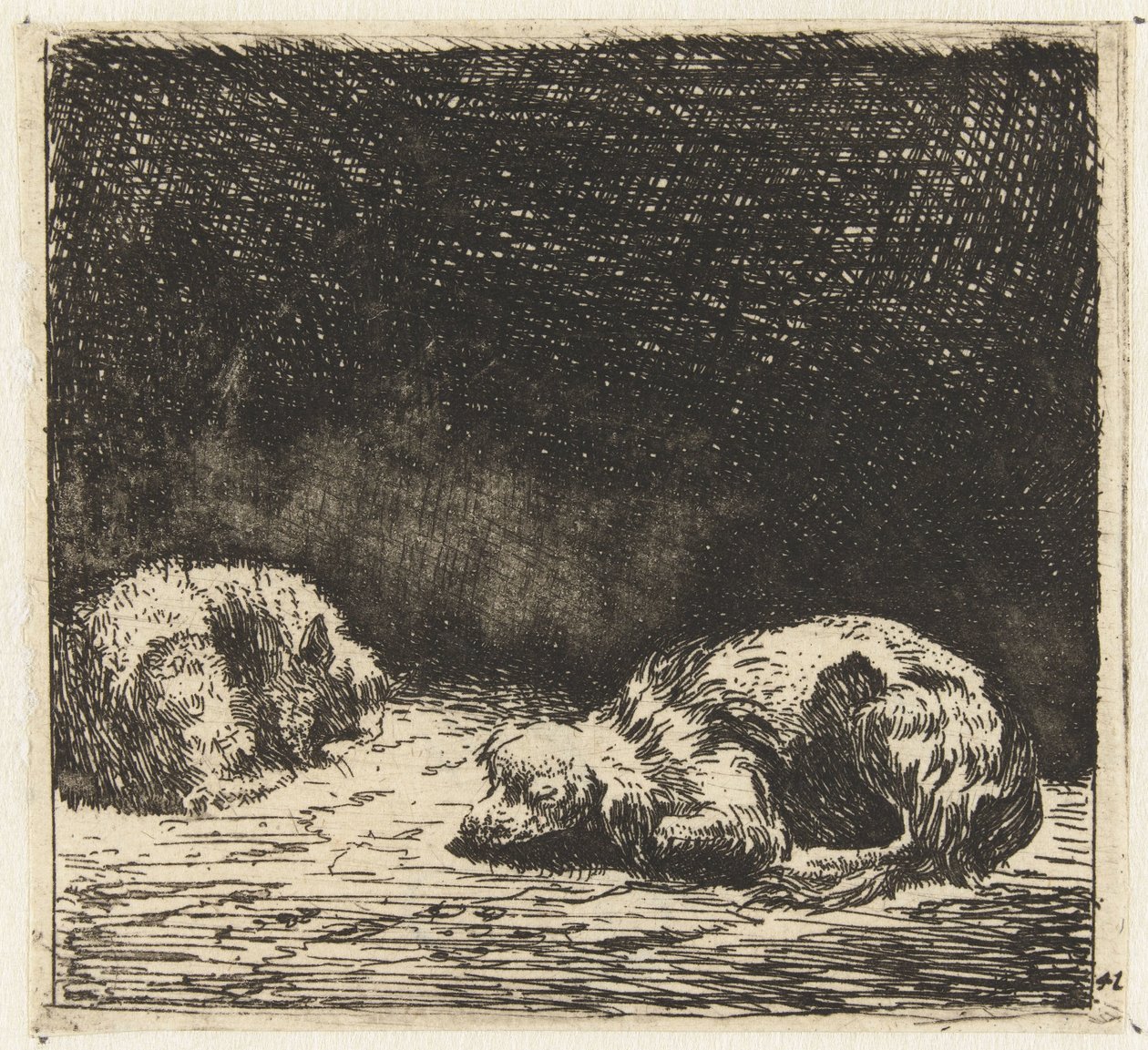 Uyuyan köpek ve kedi by Karel Du Jardin