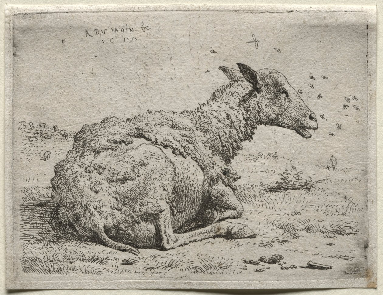 Koyunlar ve Sinekler. by Karel Dujardin