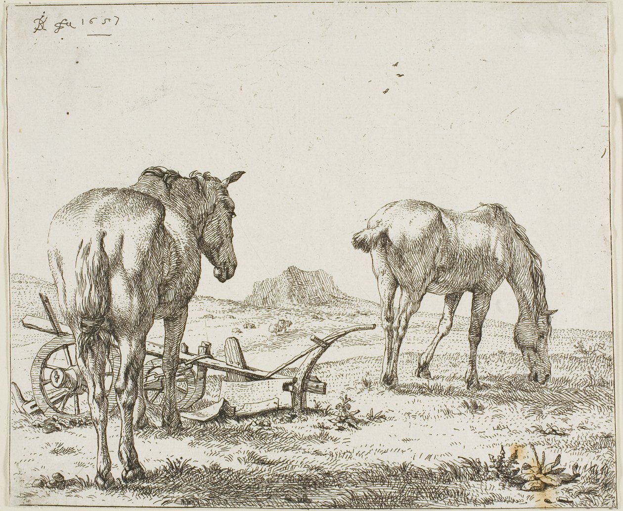 Sabanla İki At by Karel Dujardin