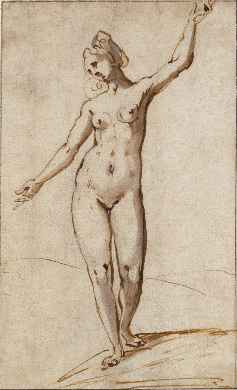  by Karel Van Mander