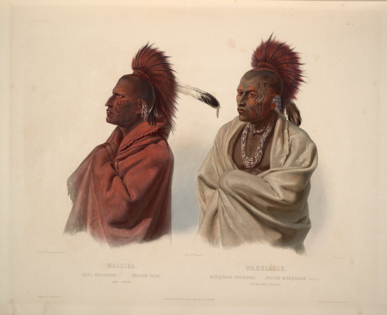 Saki Hint ve Musquake Hint by Karl Bodmer
