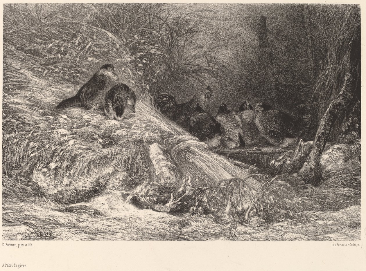 Dondan korunaklı. by Karl Bodmer