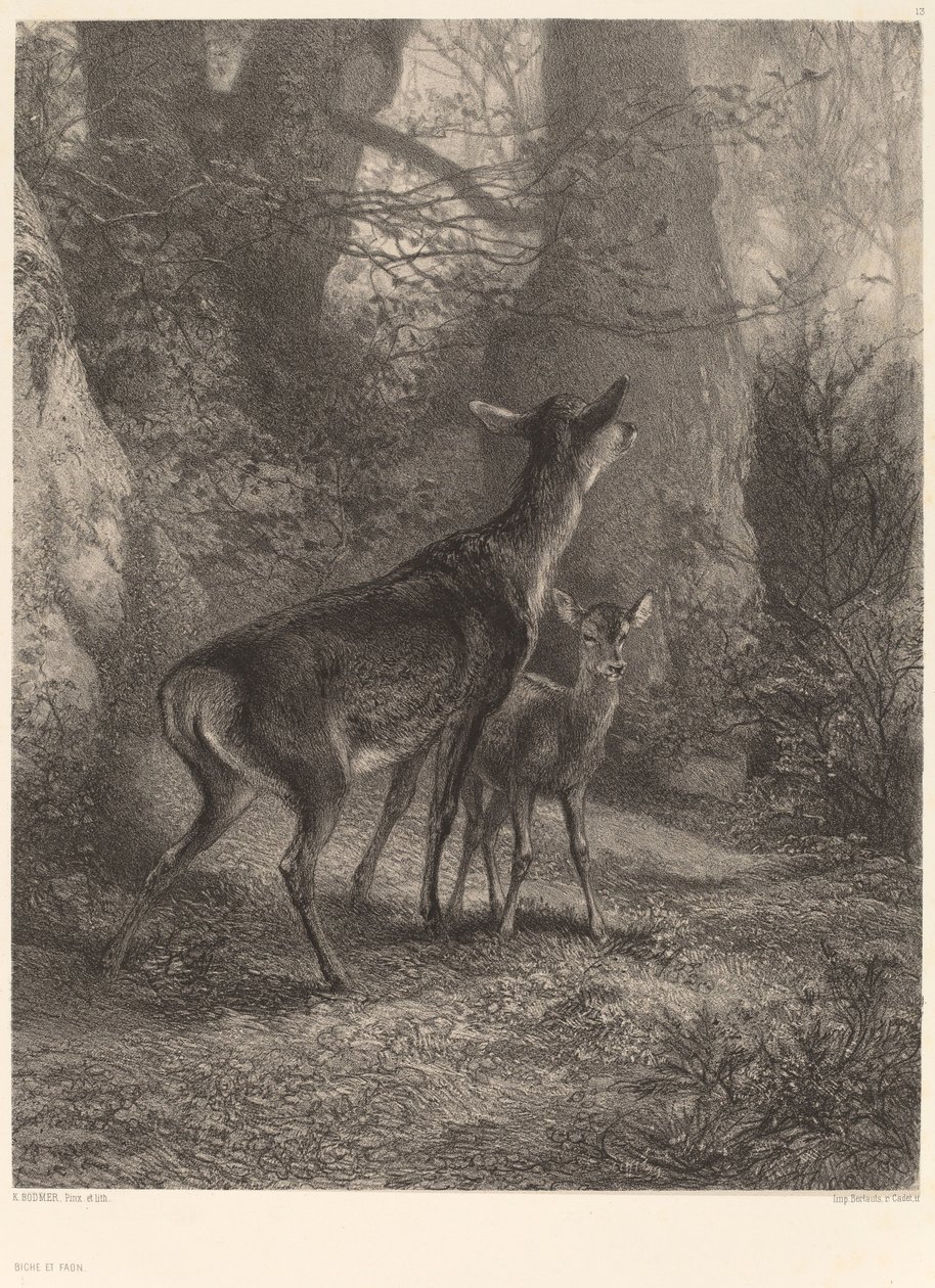 geyik ve geyik yavrusu by Karl Bodmer