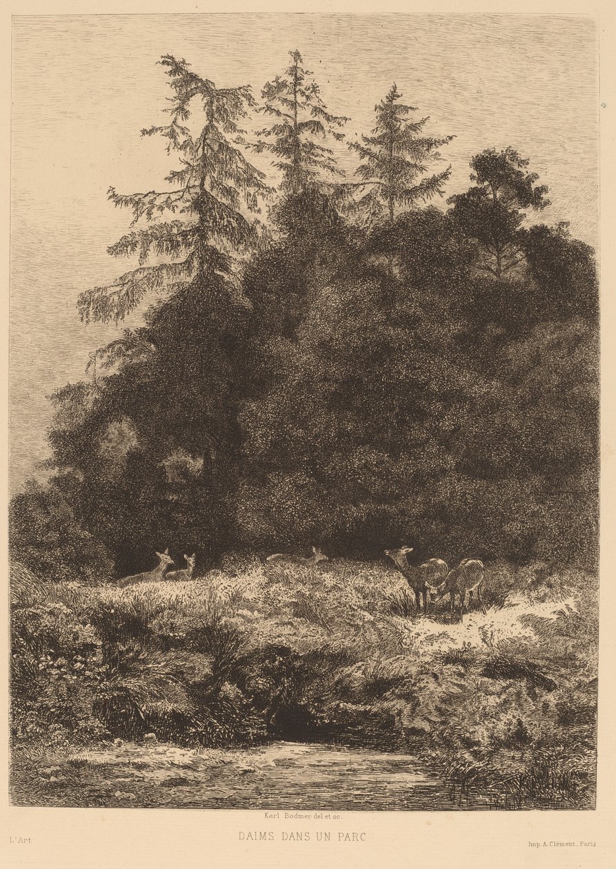 Bir Parkta Alageyik. by Karl Bodmer