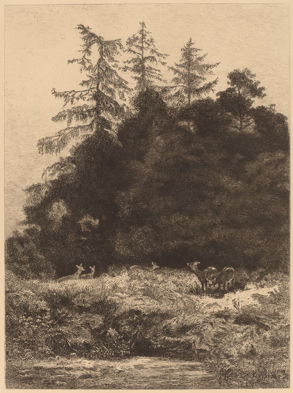 Bir Parkta Alageyik by Karl Bodmer