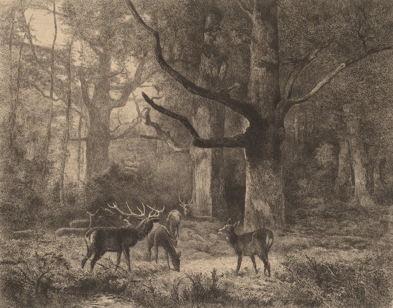 Fontainebleau Ormanı. by Karl Bodmer