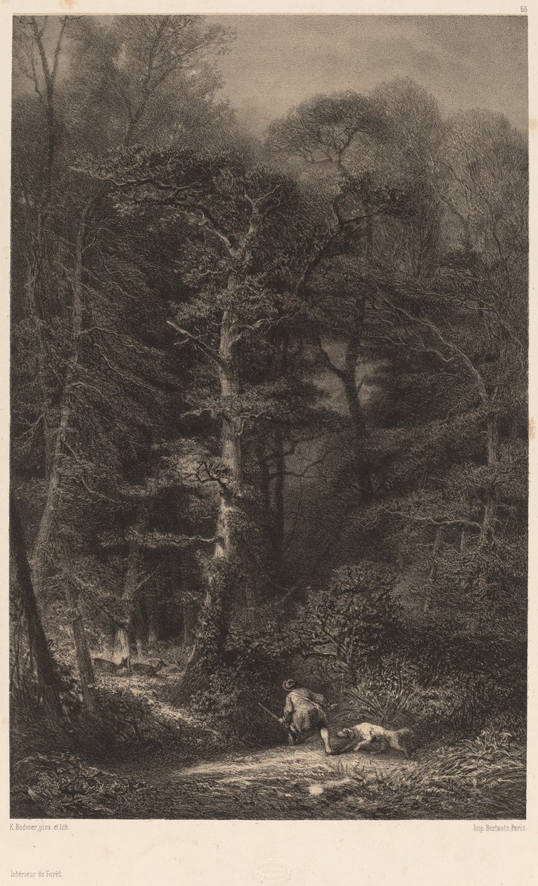 Orman İçi by Karl Bodmer