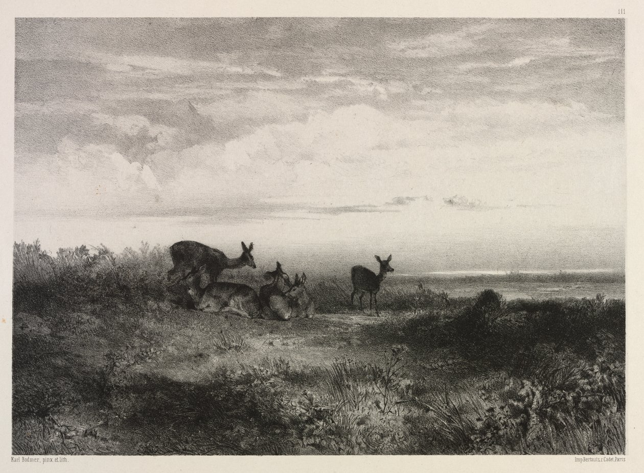 Geyik ile manzara by Karl Bodmer