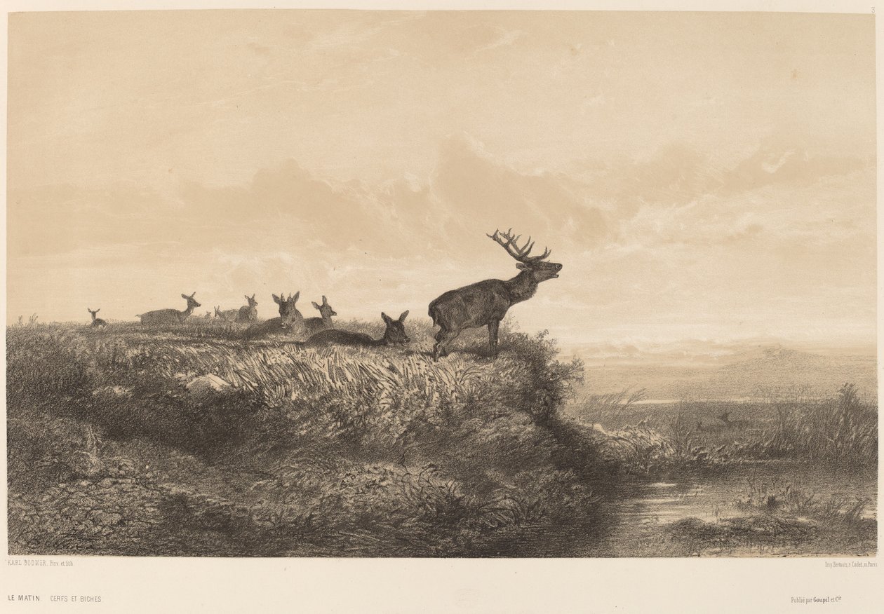 Sabah by Karl Bodmer