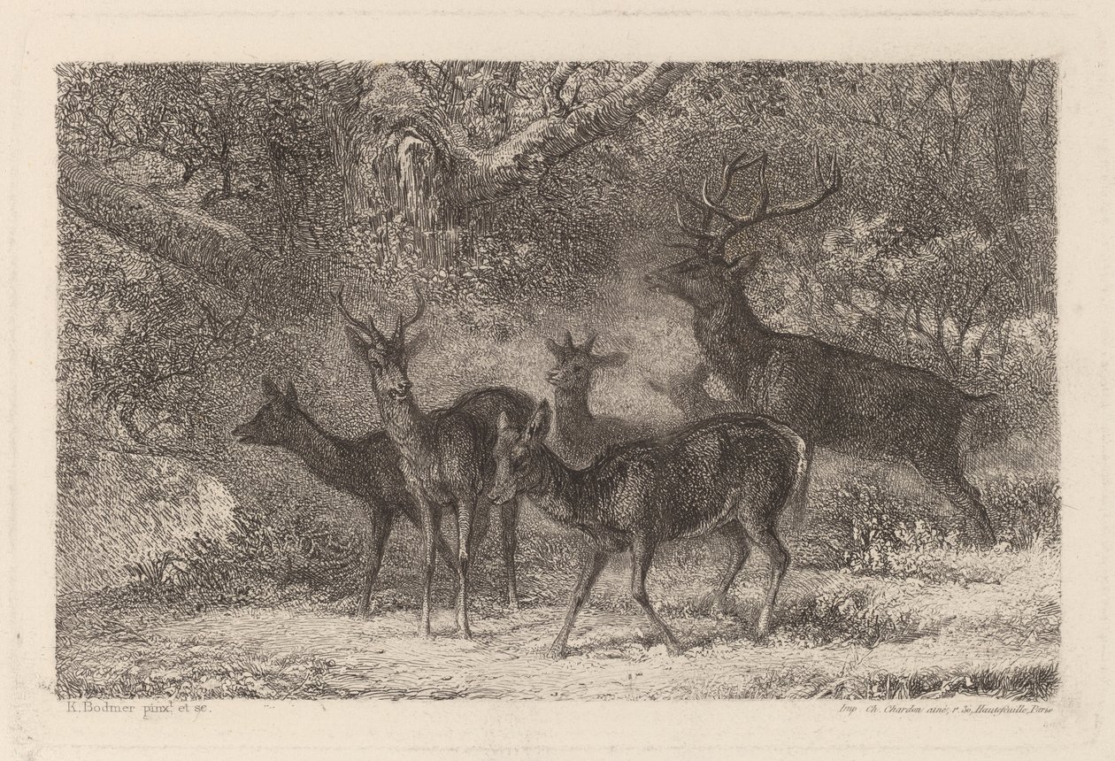 Sürü by Karl Bodmer