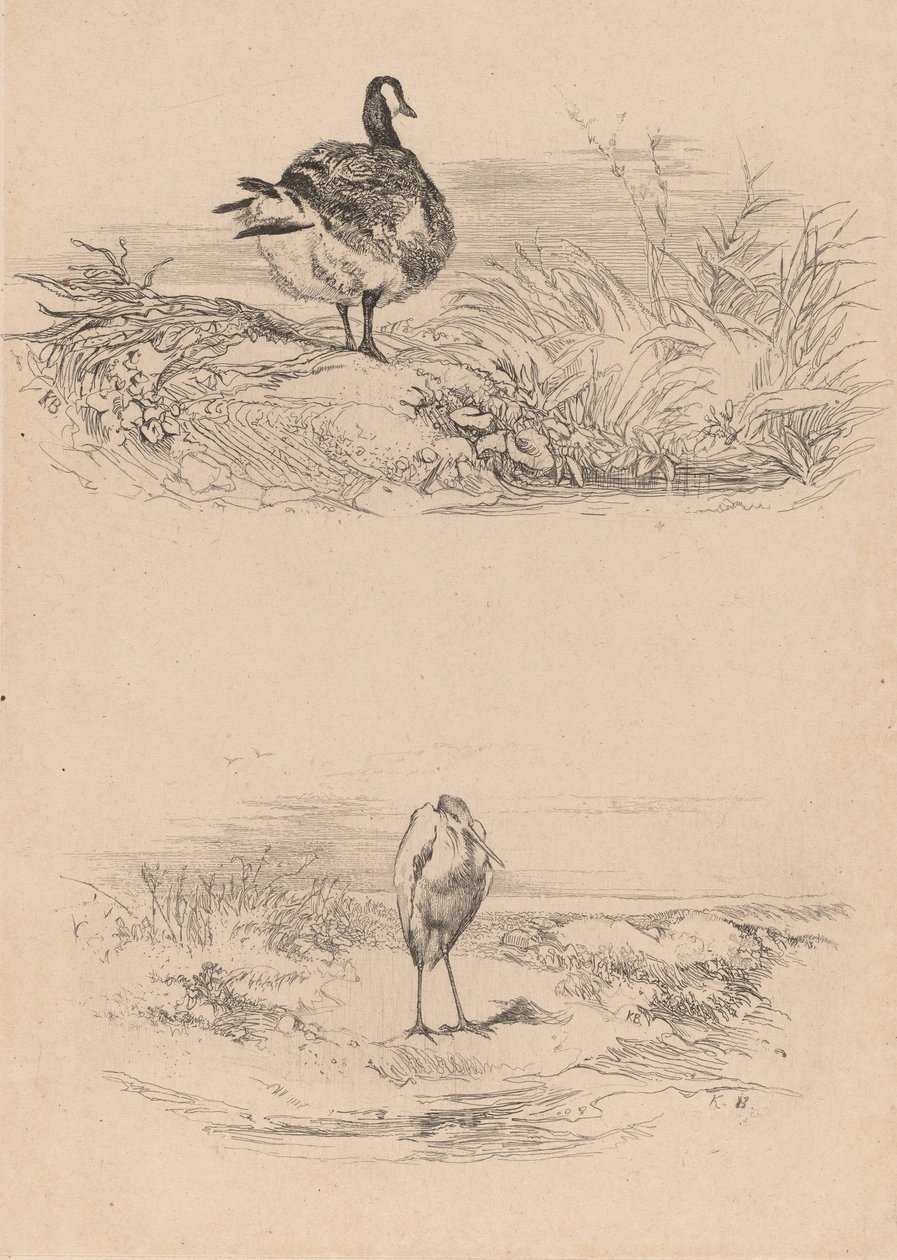 Oi, Heron. by Karl Bodmer