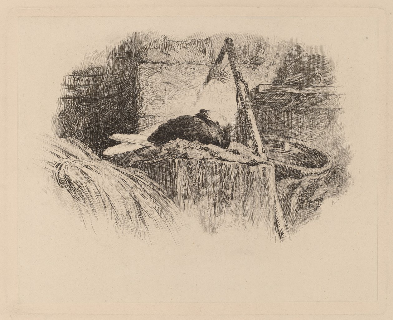 Bir yuva üzerinde güvercin. by Karl Bodmer