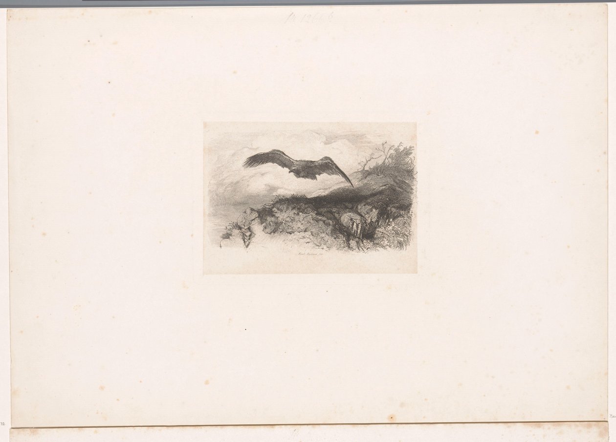 uçan Kartal Hayvanlarla manzaralar (dizi başlığı) by Karl Bodmer