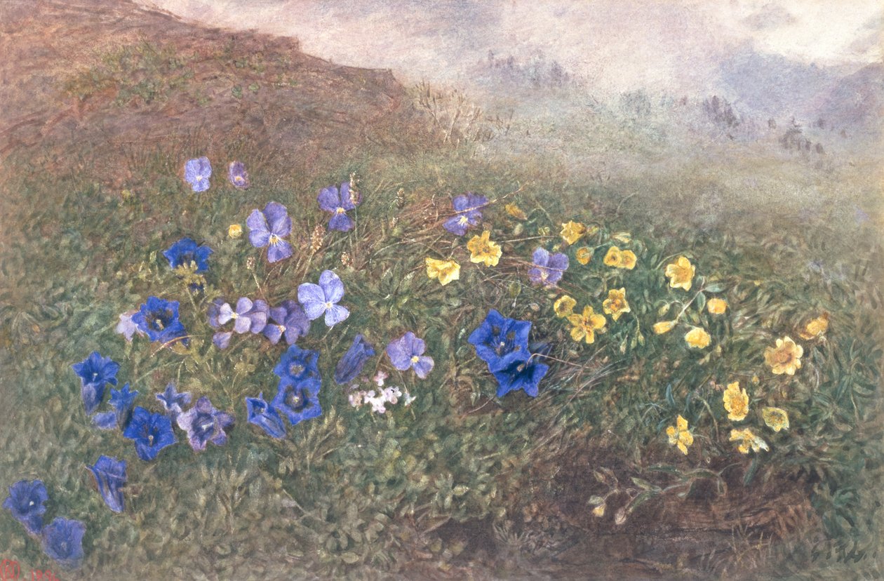 Bahar Dağ Çiçekleri, 1896 by Kate fl.1873 96 Goodwin