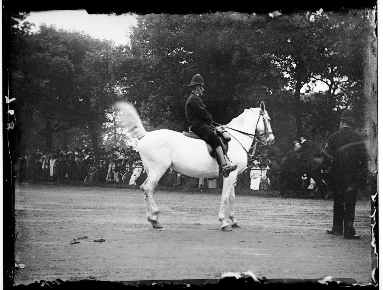 Hyde Park, Westminster Şehri, Londra by Katherine Jean Macfee