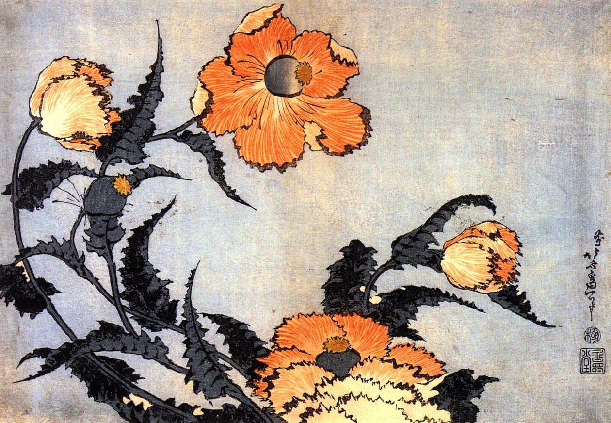 haşhaş by Katsushika Hokusai