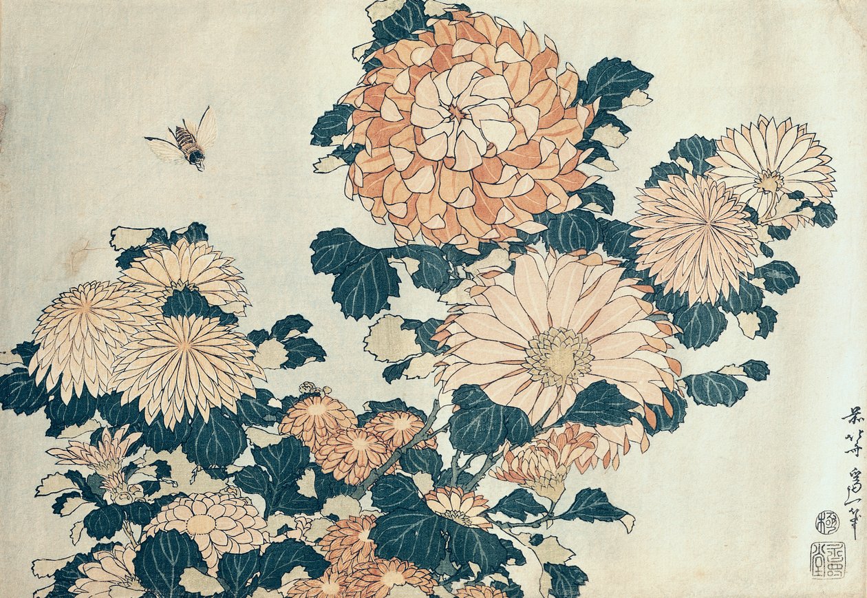 Kasımpatı (renkli tahta baskı) by Katsushika Hokusai