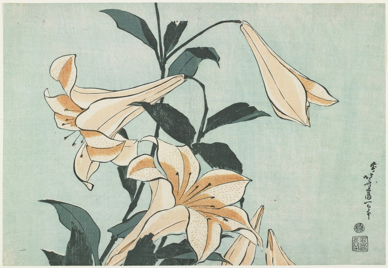 Lilyum, ç. 1832 by Katsushika Hokusai