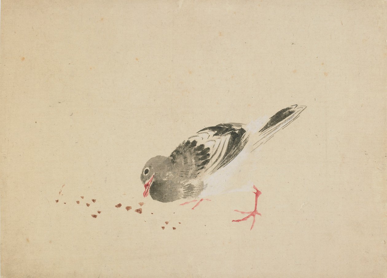 Güvercin, 18. yüzyılın sonu ve 19. yüzyılın başı. by Katsushika Hokusai