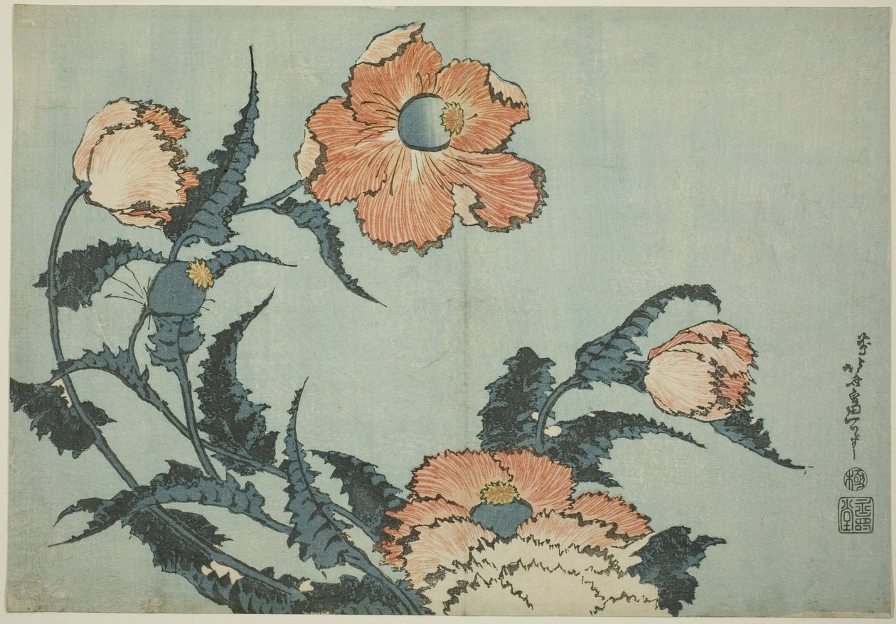 Gelincikler, isimsiz bir çiçek dizisinden by Katsushika Hokusai