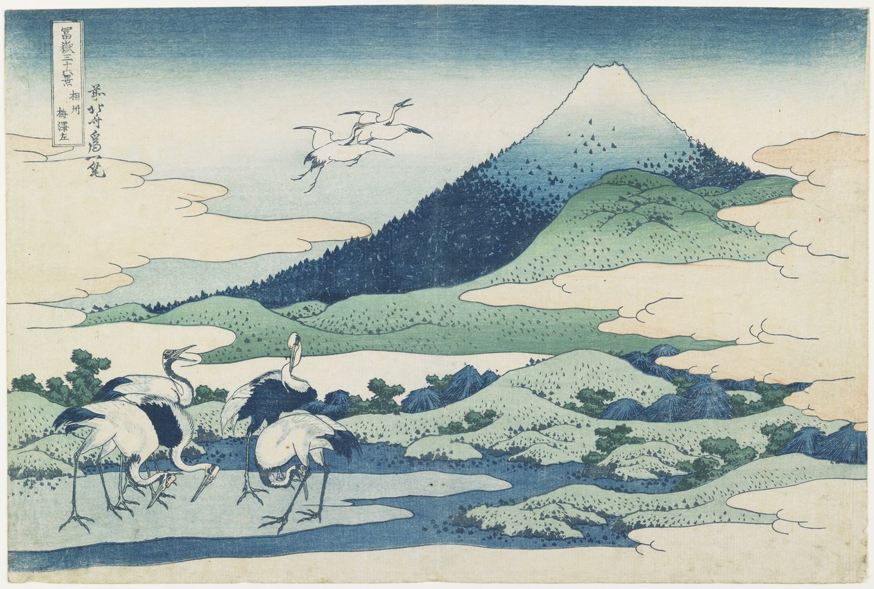 ಸಗಾಮಿ ಪ್ರಾಂತ್ಯದ ಉಮೆಜಾವಾ ಗ್ರಾಮ, 1831-1834ತುರ್ಕ್ by Katsushika Hokusai