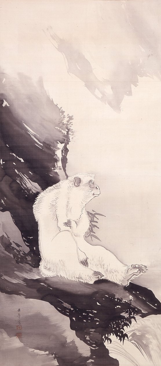 Beyaz Maymun (ipek üzerine mürekkep) by Kawabata Gyokushō
