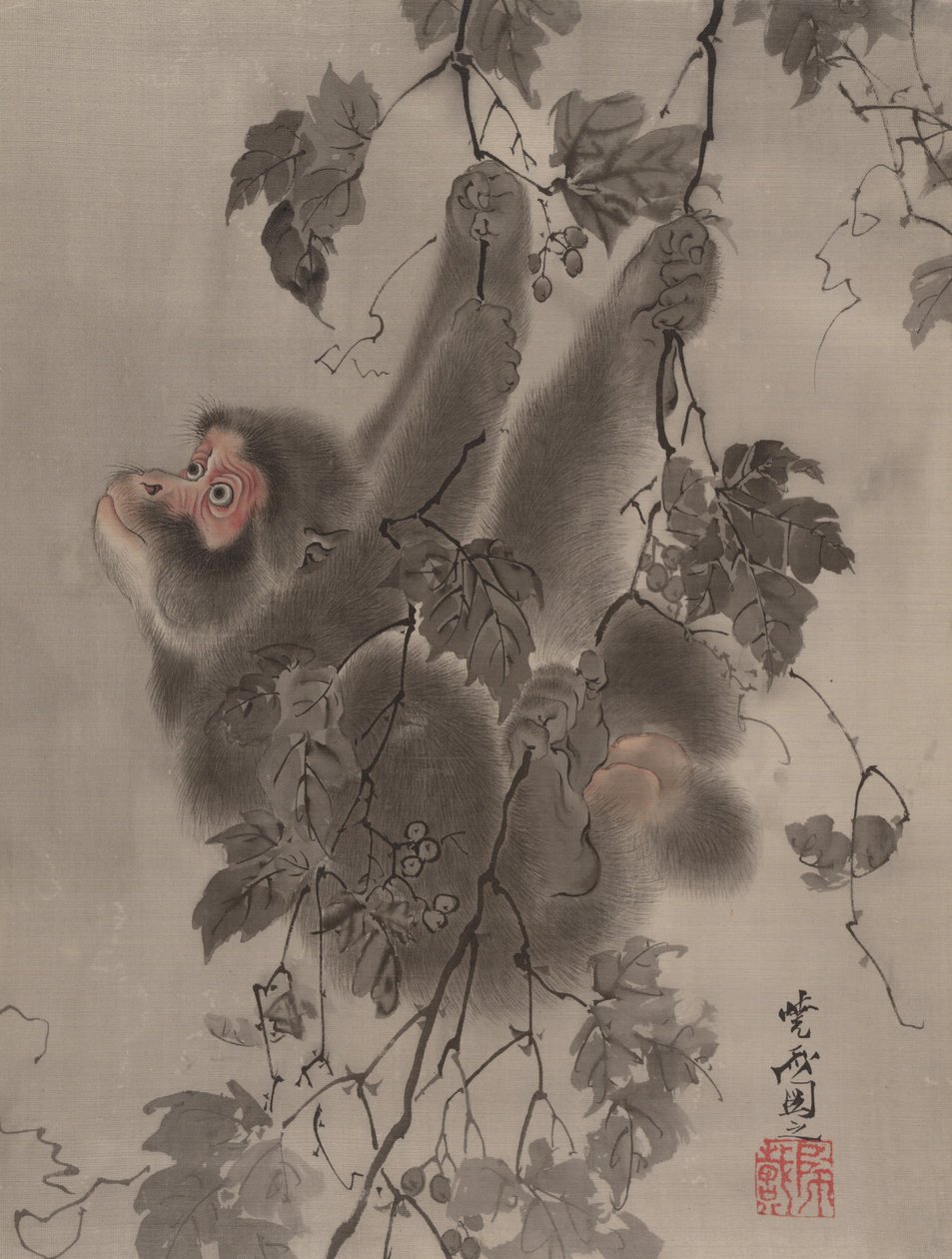 Üzüm Asmalarından Sarkan Maymun, M.Ö. 1887. by Kawanabe Kyosai