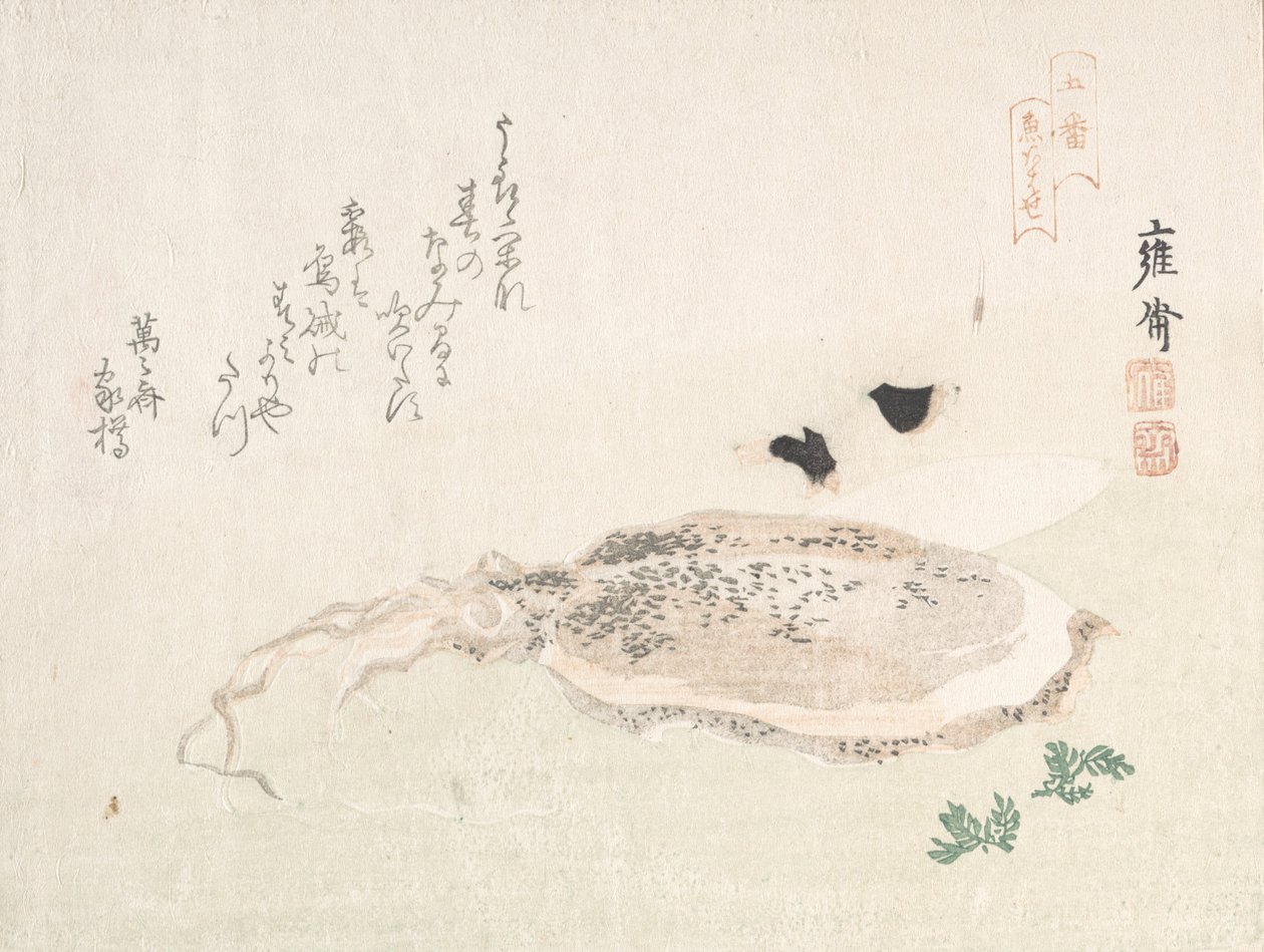 Mürekkep Balığı, 19. yüzyılın başlarında. by Kikuchi Yosai