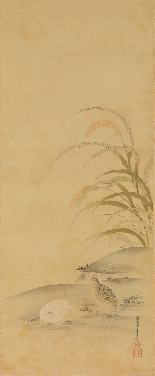 Bıldırcın ve Darı, 17. yüzyılın sonlarında. by Kiyohara Yukinobu