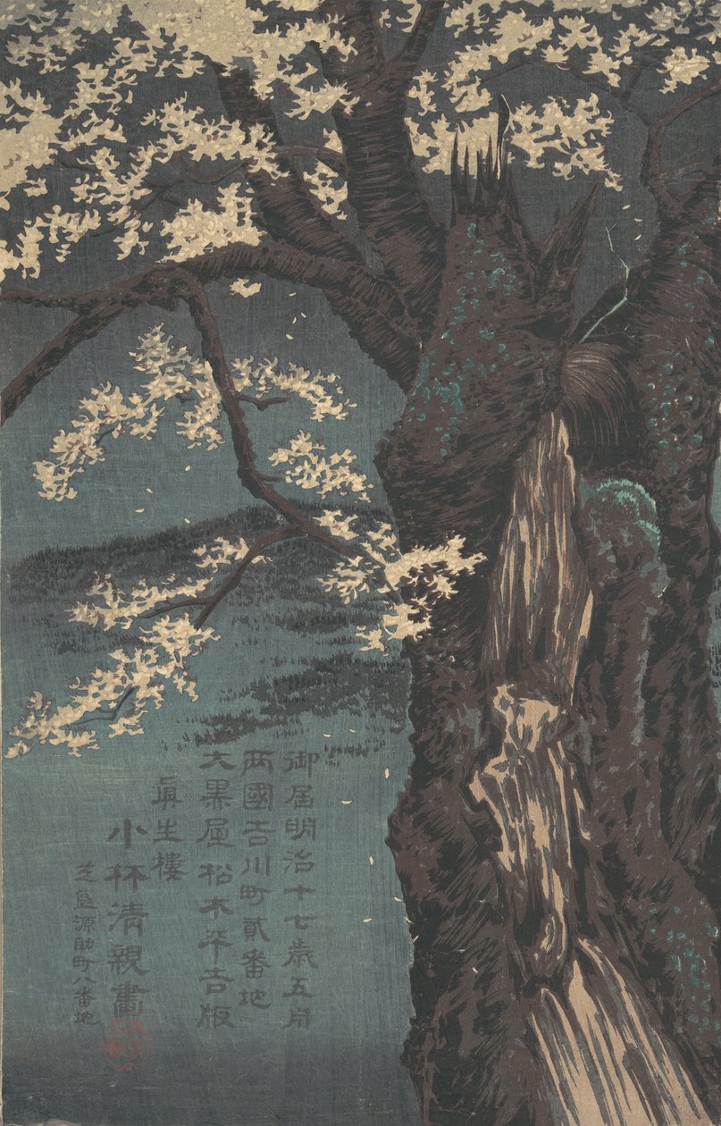 Kiraz Ağacı, 1874 tarihli. by Kobayashi Kiyochika