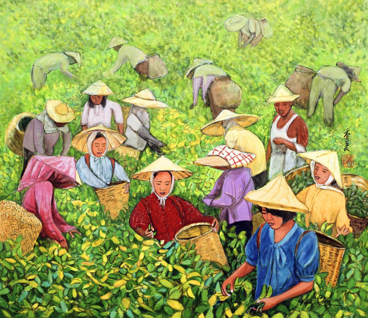 Çay Toplayan Kız, 1994 (ipek üzerine guaj) by Komi Chen
