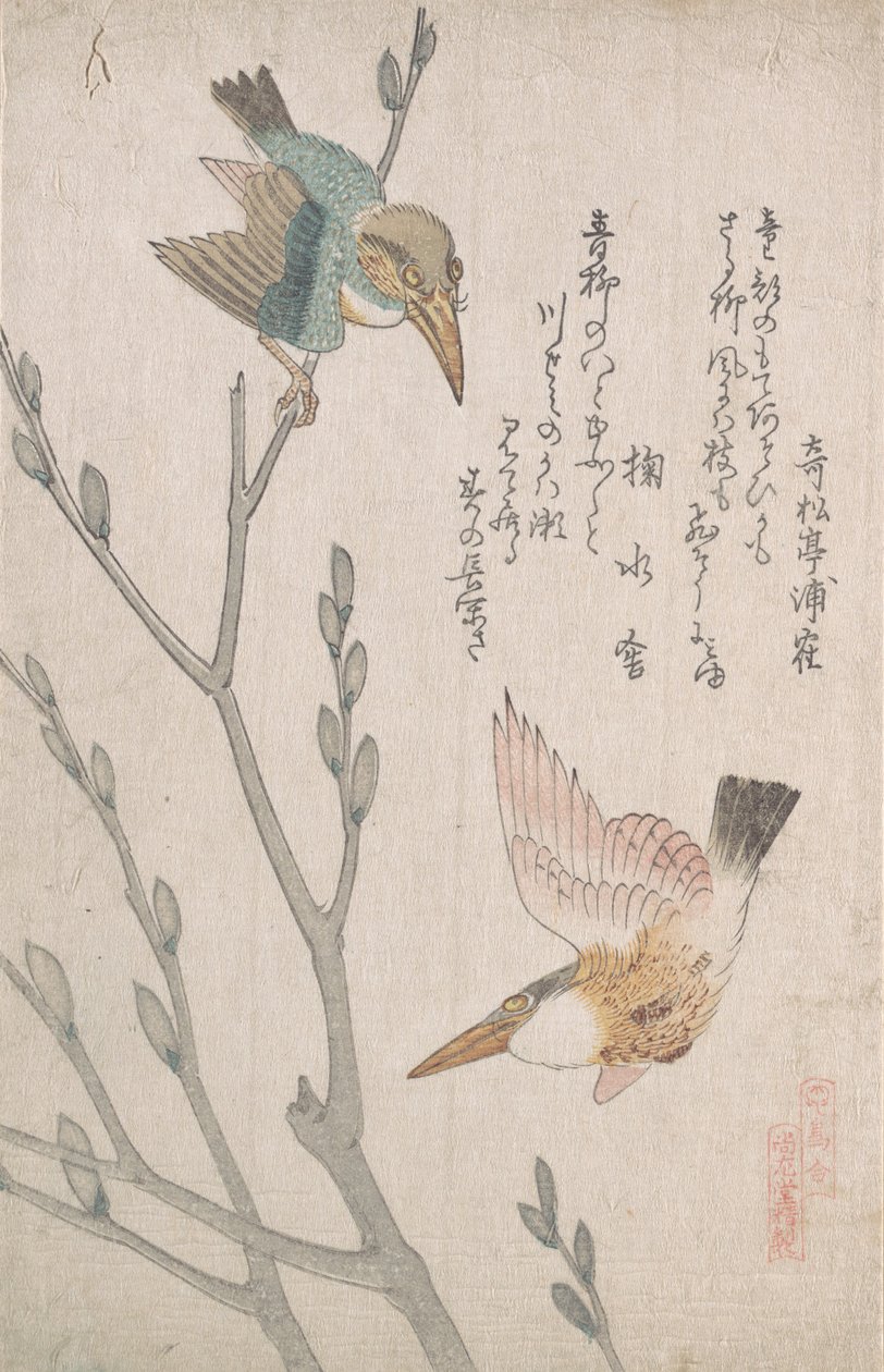 Kingfishers ve Pussy-söğüt, 19. yüzyıl. by Kubo Shunman
