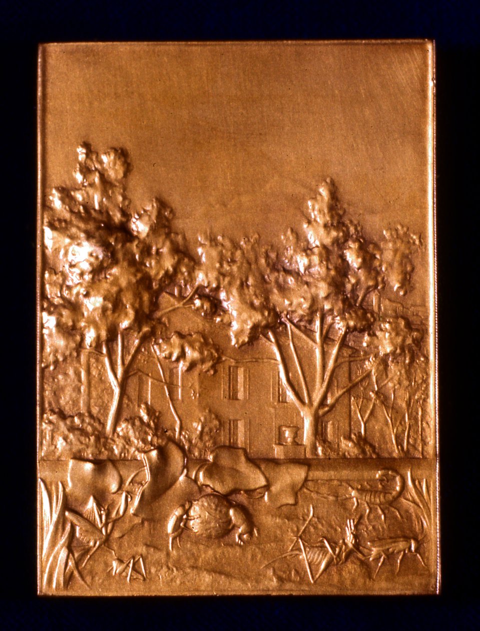 Böcekler, 1911 by L. Patriarche