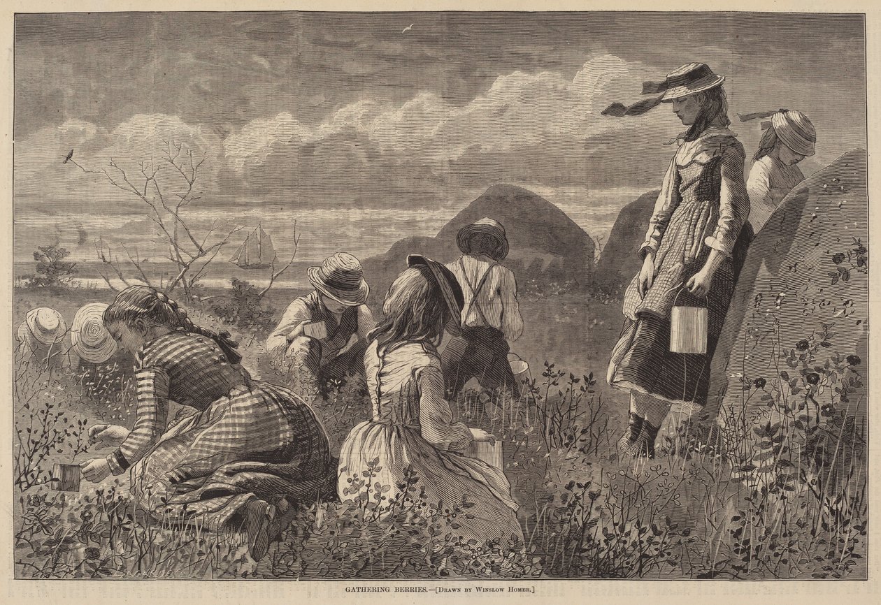 Meyve Toplama by Lagarde after Winslow Homer