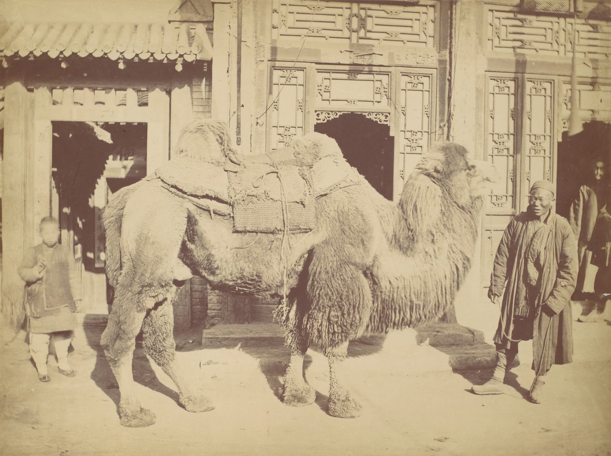 Pekin. ile ilgili. 923, 1867. by Lai Fong.