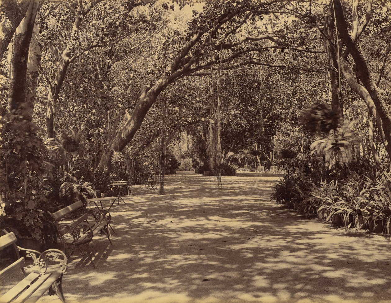 Sukh-Vilas Saray Bahçesi, 1880-90. by Lala Deen Dayal