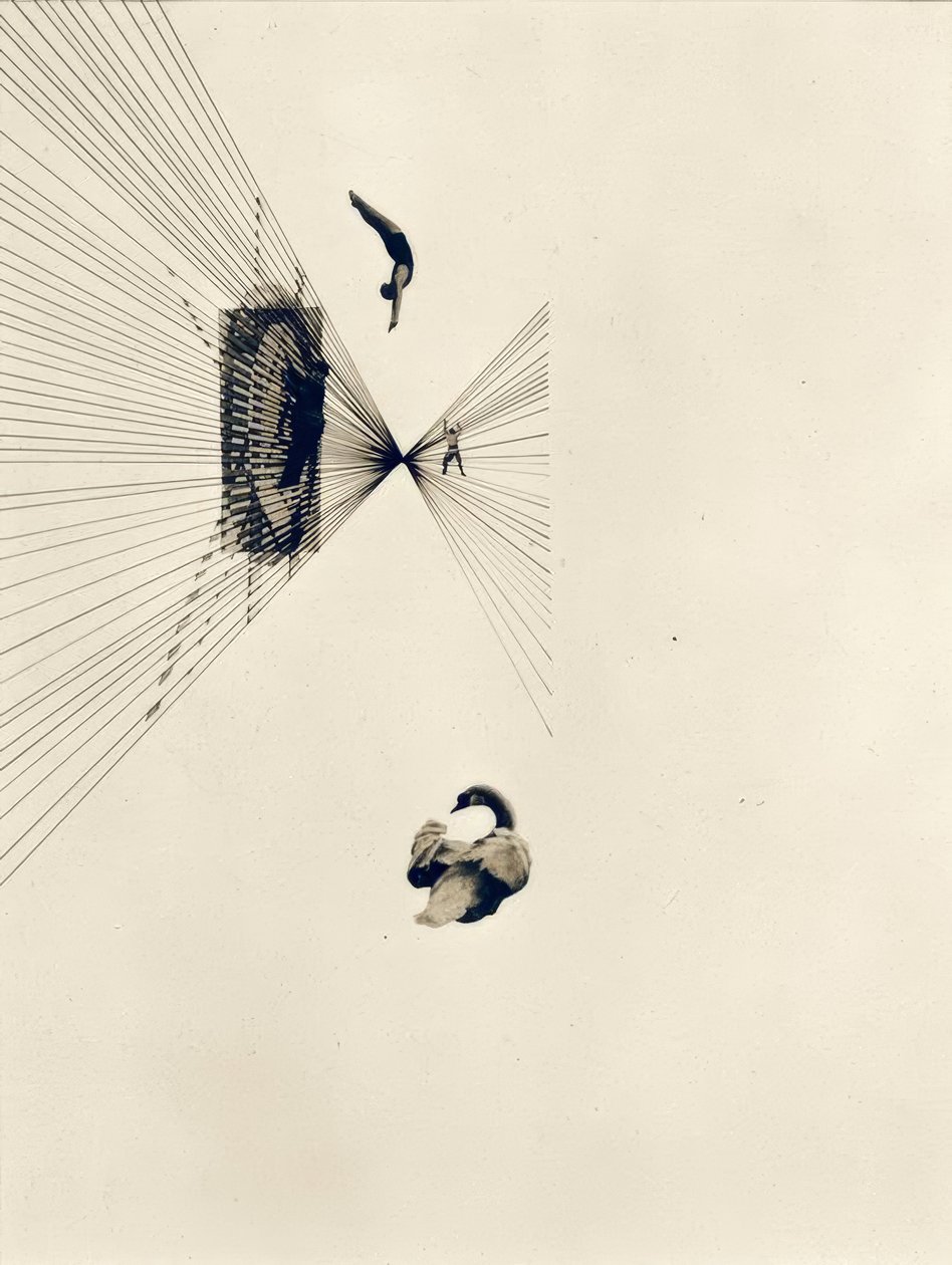 Leda ve kuğu by Laszlo Moholy Nagy