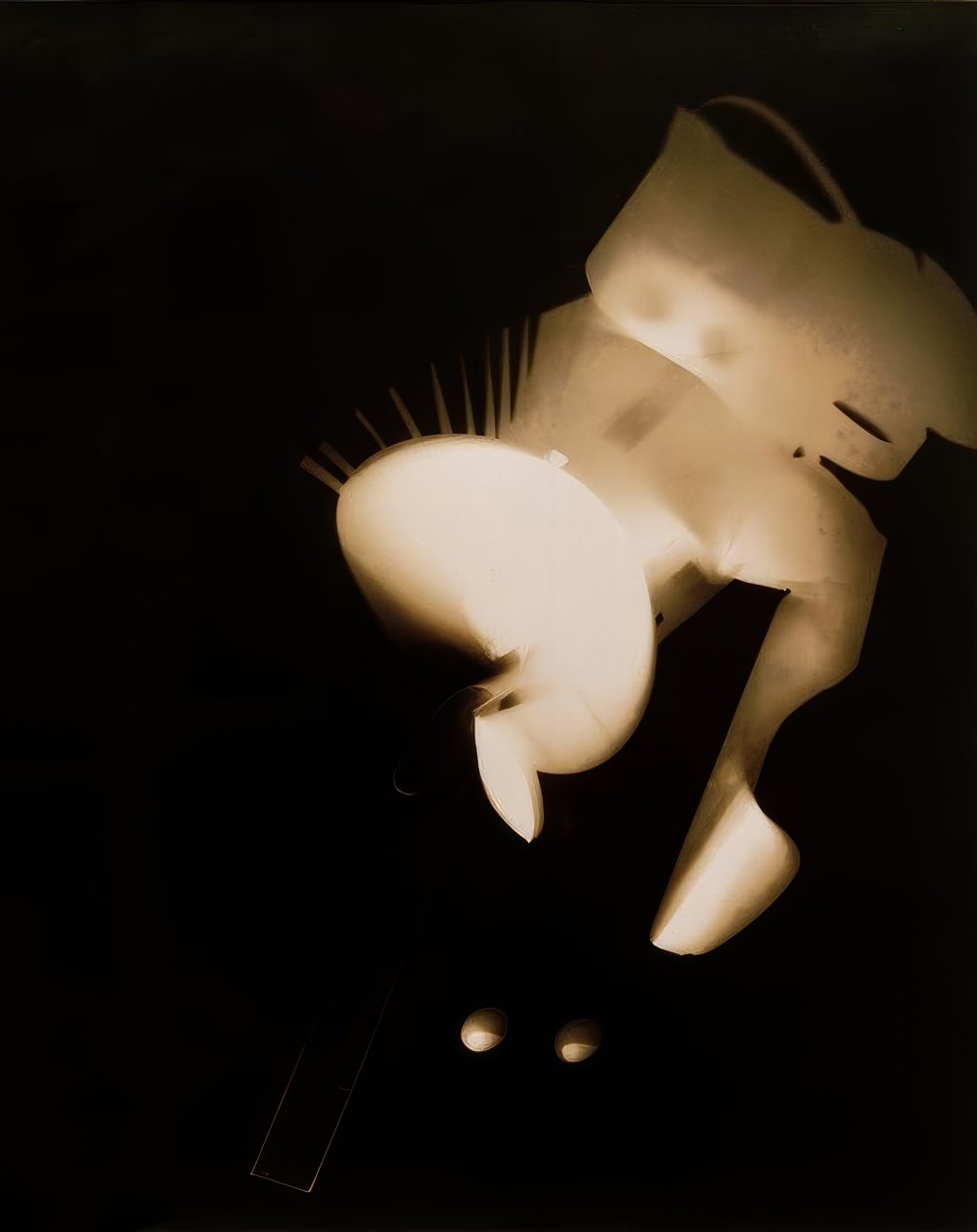 başlıksız by Laszlo Moholy Nagy