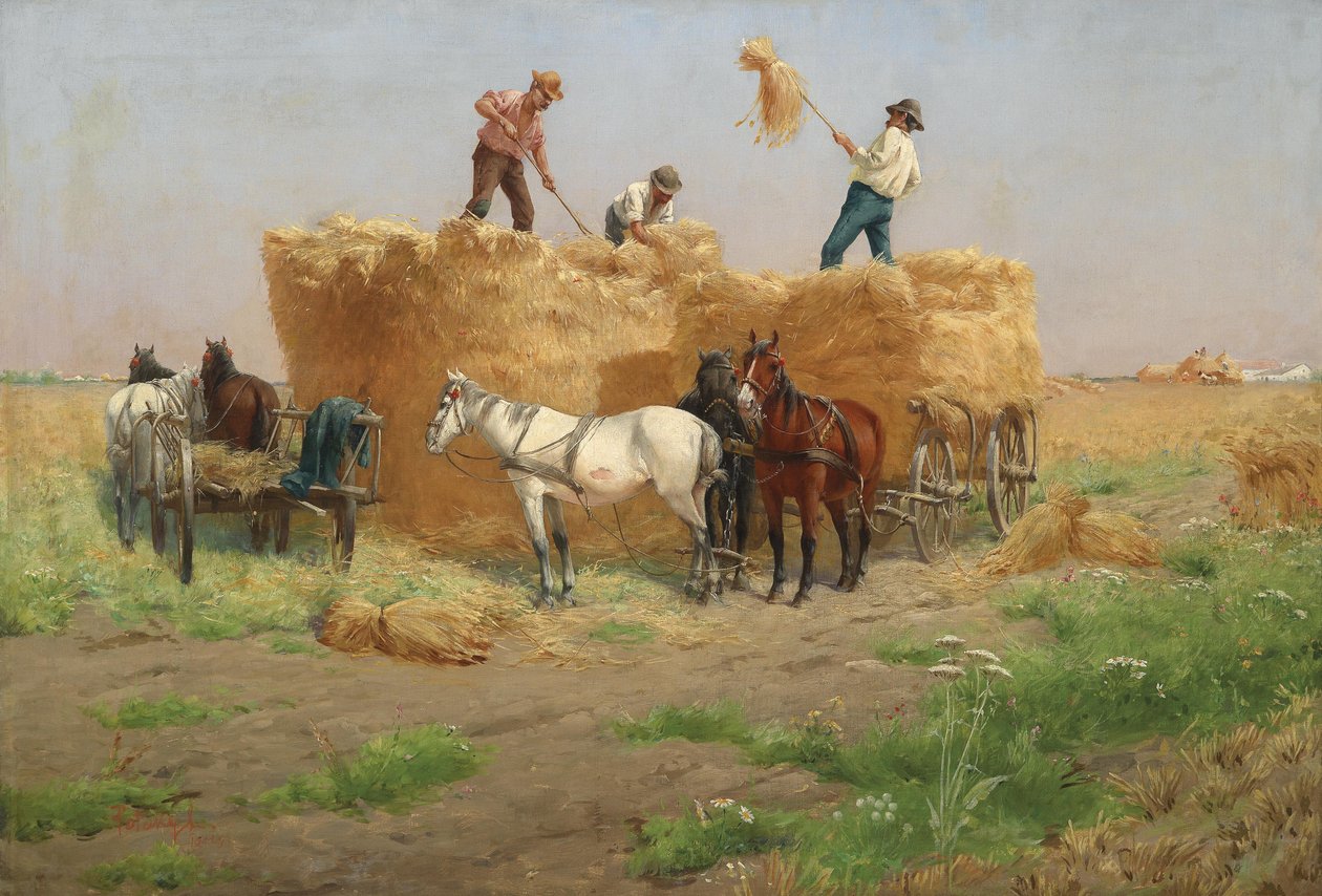 saman yapımı by Laszlo Pataky