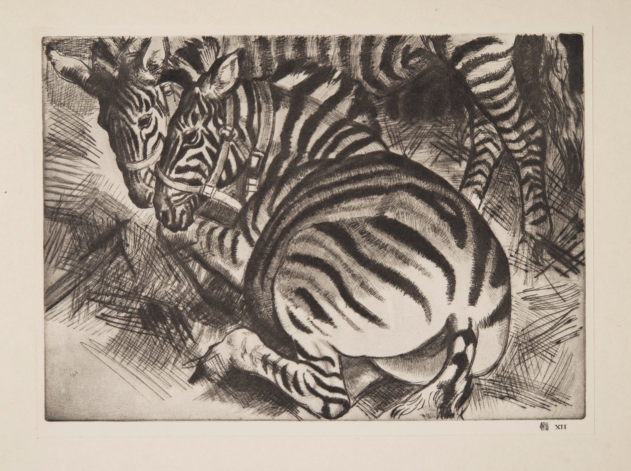Zebralar, bar. 1930. by Laura Knight