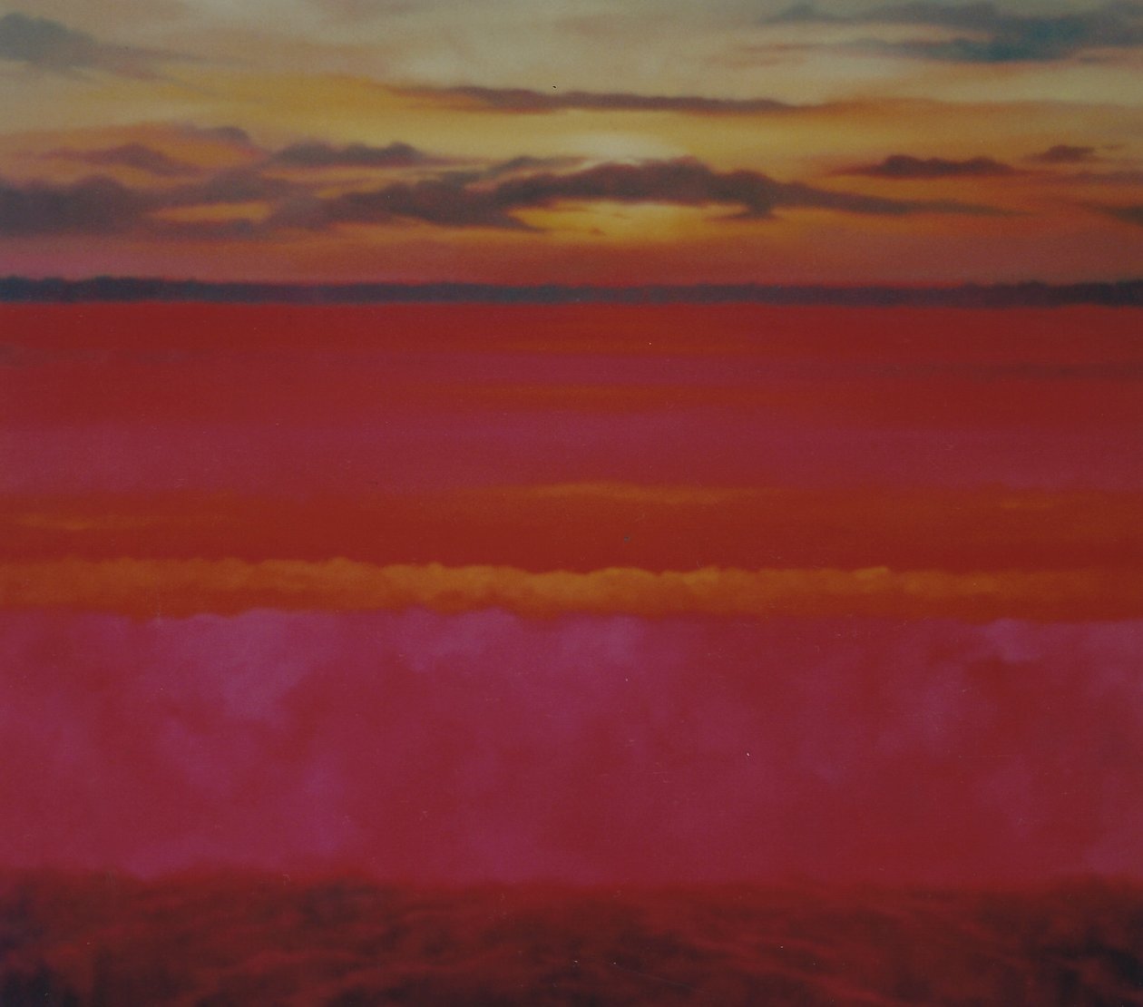 Parlayan Gündoğumu, 2004 tuval üzerine yağlı boya Gökyüzü ve Pembe Soyut Manzara by Lee Campbell