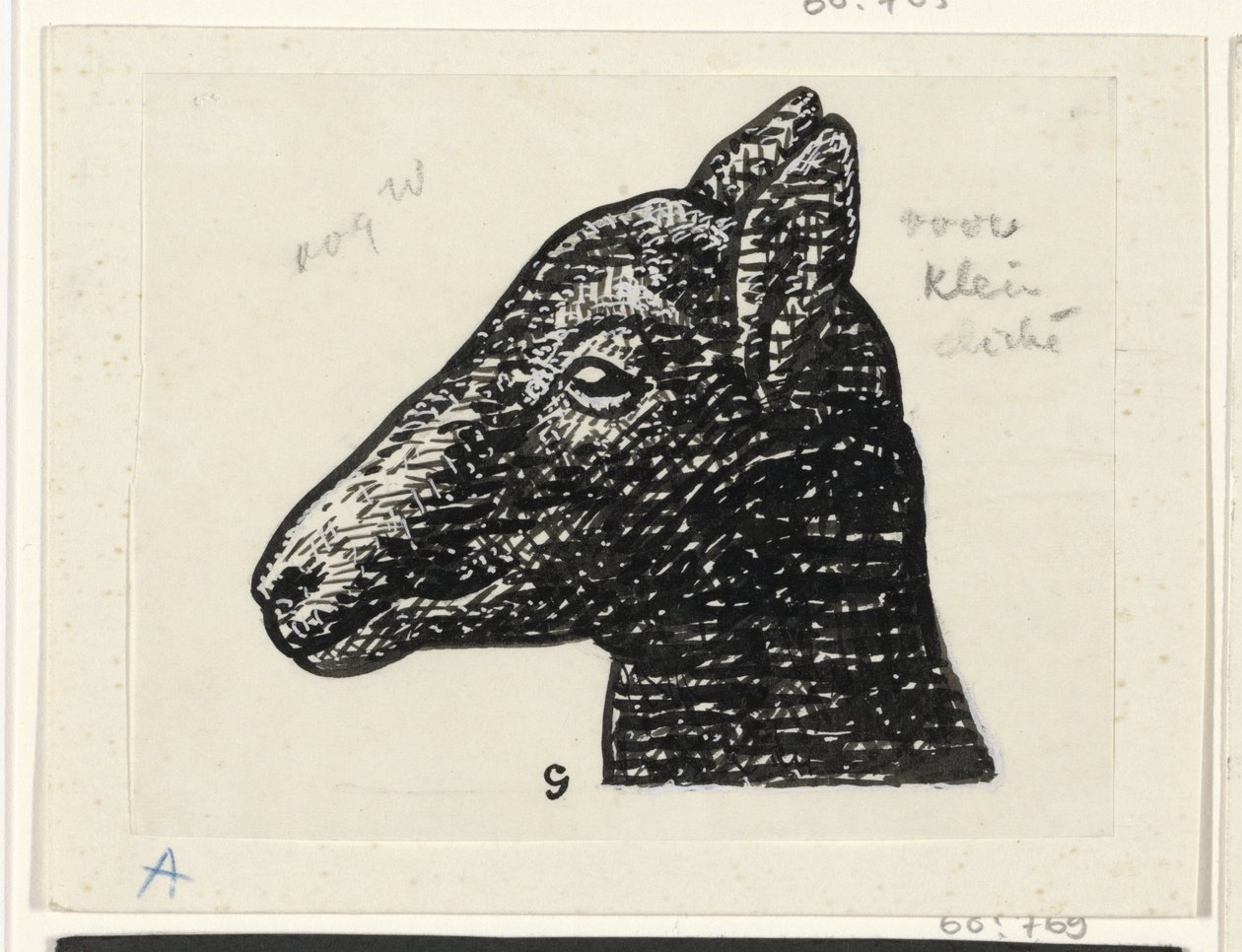 Kuzu başı by Leo Gestel (signed by artist)