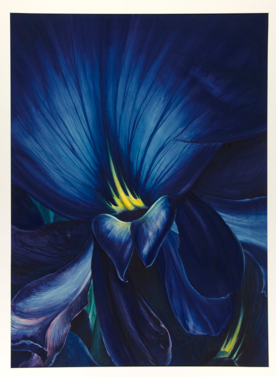 Çin Delphinium by Leon Carroll