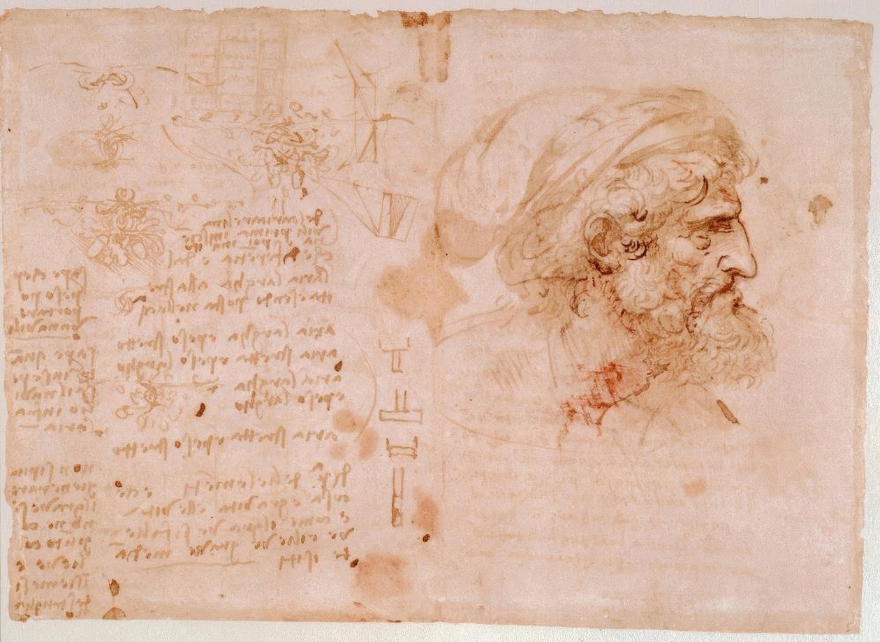 Yaprak süsleme çalışmaları / yaşlı bir adamın profil portresi... by Leonardo da Vinci
