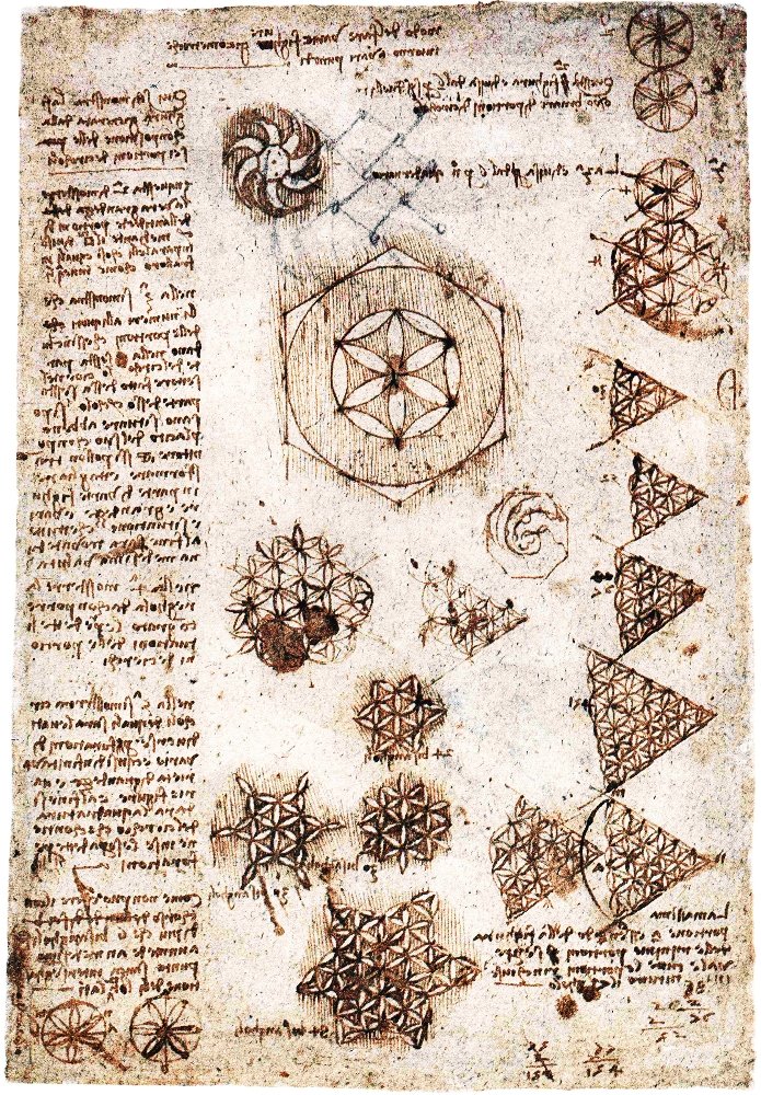 Hayat çiçeği by Leonardo da Vinci